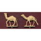 1/72 Colonial Wars Taaishi Camely (15 Figs & 12 Camels) (HaT)