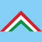 Decal Sheet, Hungarian Red Air Corps (1919)